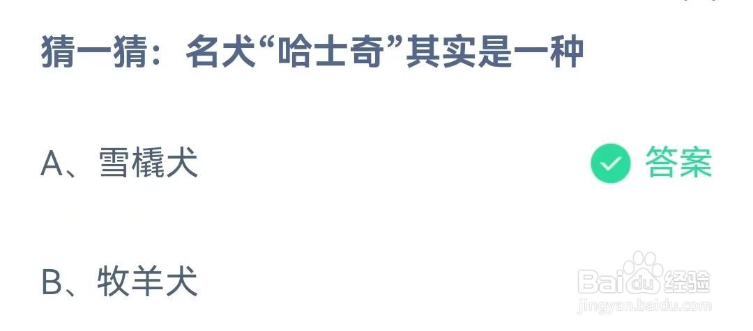 “哈士奇”其实是一种?蚂蚁庄园问题