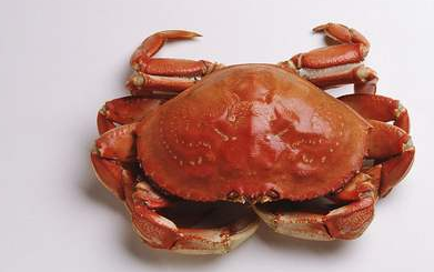 河蟹怎么清洗干净