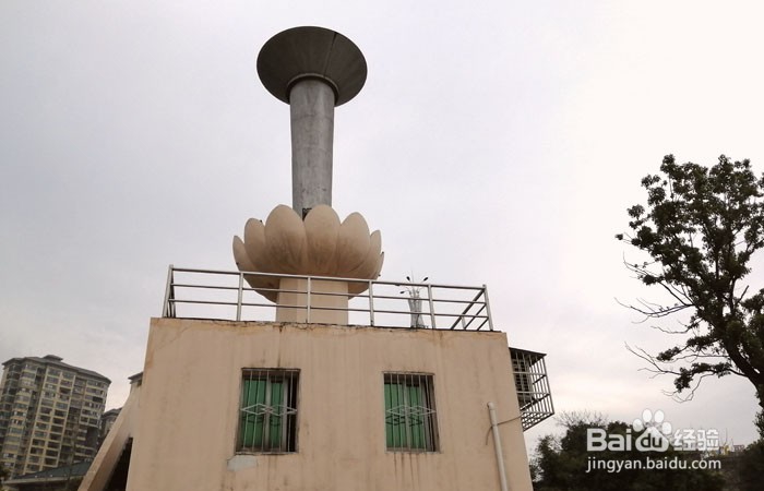 如何参观岳阳南湖公园的观光台