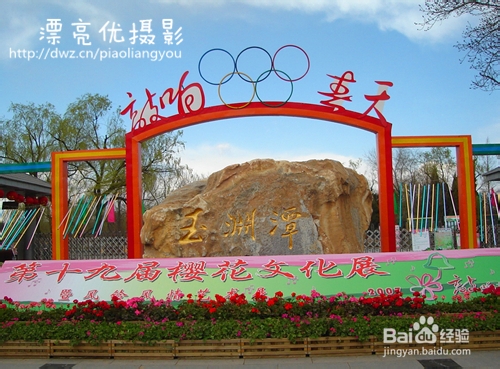 赏樱花——北京旅游攻略