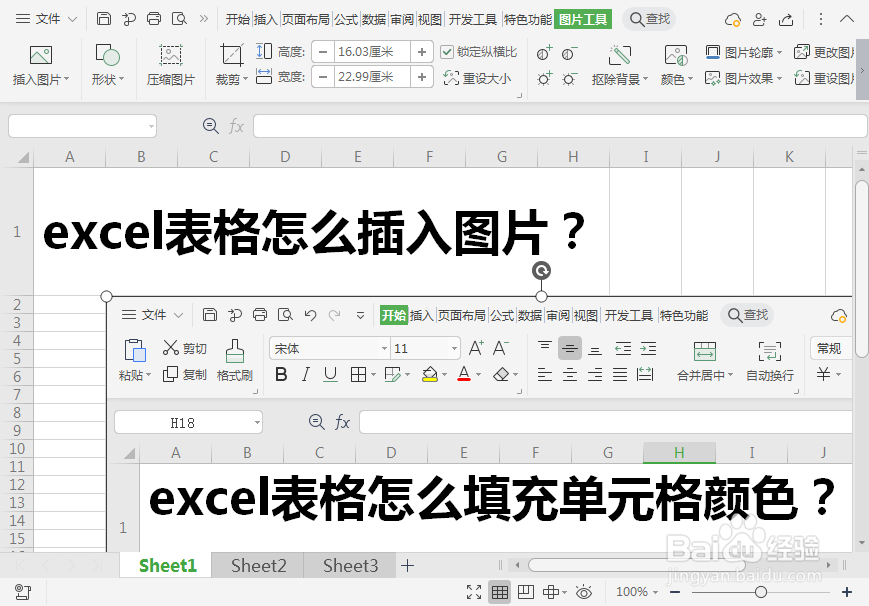 excel表格怎么插入本地图片？