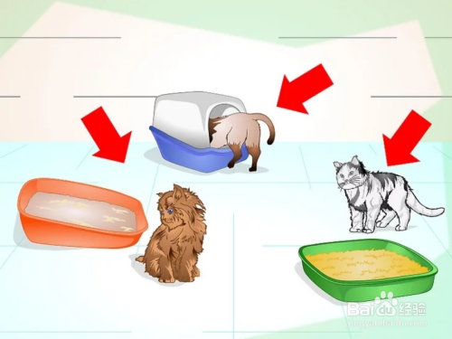 您知道如何阻止猫咪随地乱撒尿的问题吗？（图）