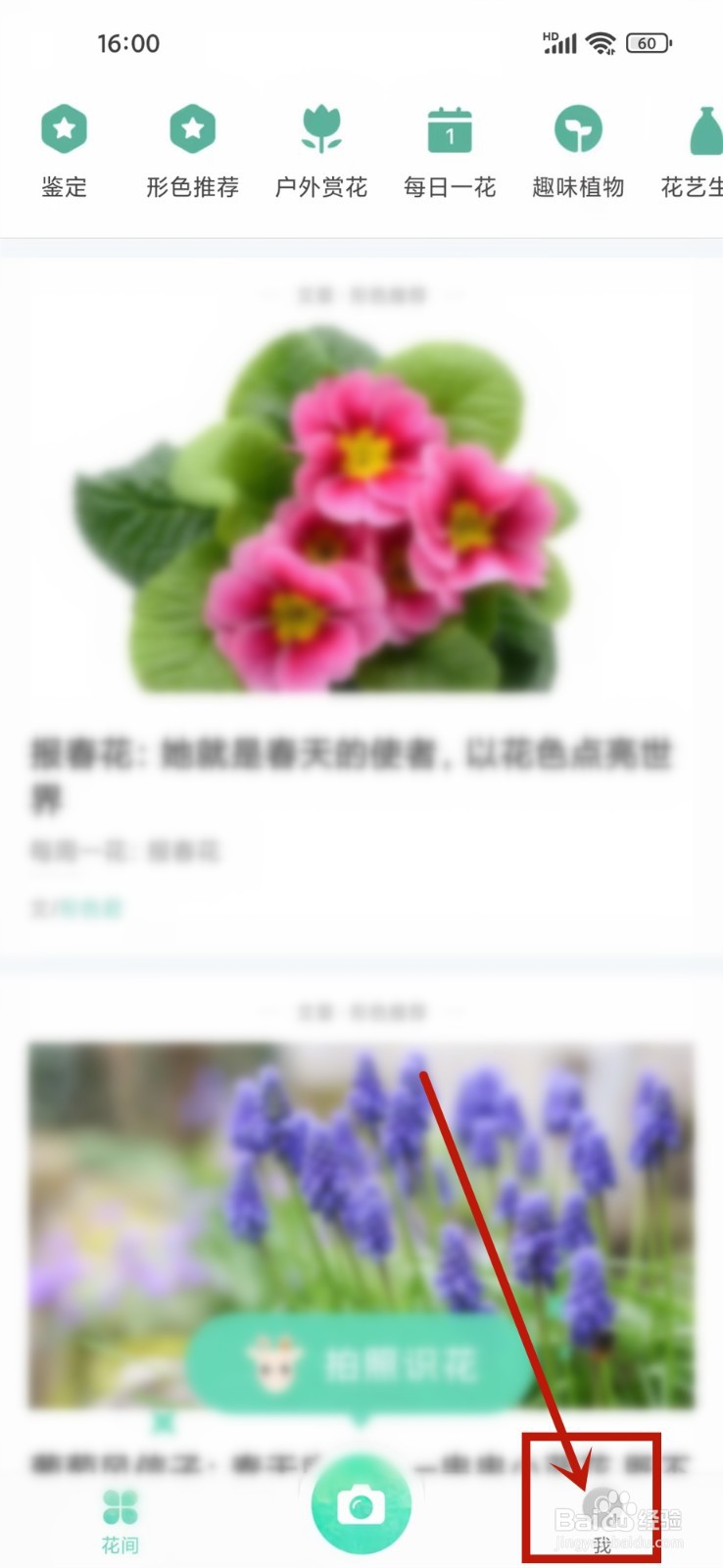 形色app收到的私信在哪里看