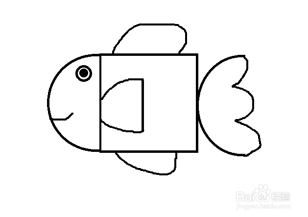 怎么画鱼-简笔画(19)