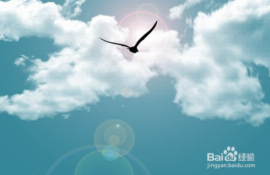 教你怎样走出舒适区去奋斗？