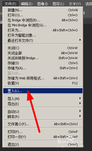ps怎么插图进去