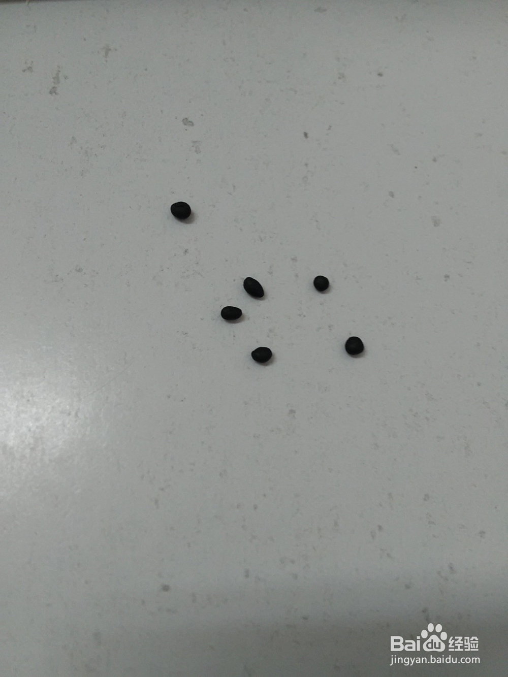 西瓜造型的冰棍怎么捏