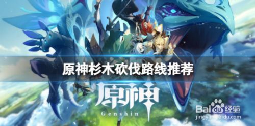 原神杉木砍伐路线