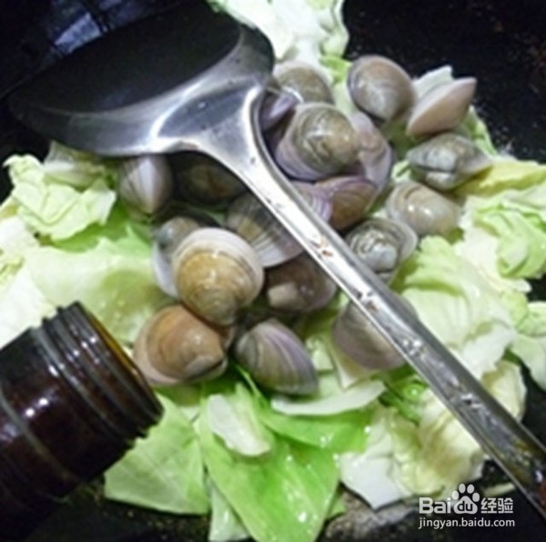 包心菜炒圆蛤的具体做法