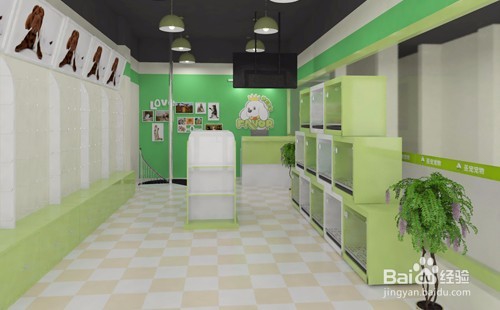 开宠物店需要多少钱