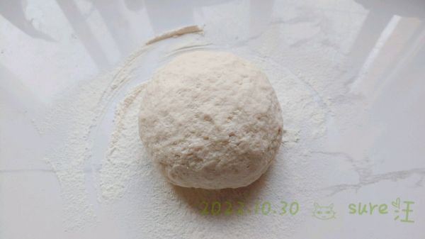 茴香肉酱水煎饺