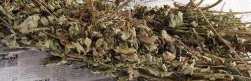 孩子长痱子怎么办?