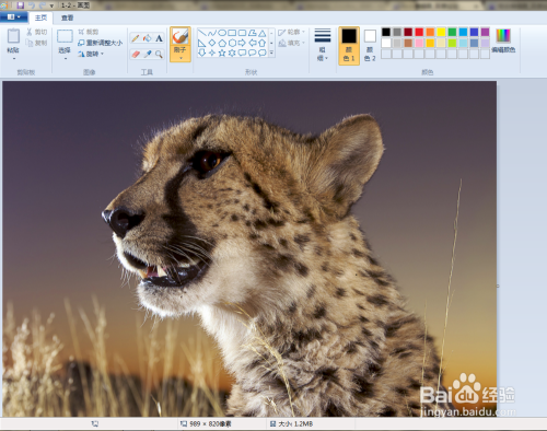 教你用画图工具PS的小技巧