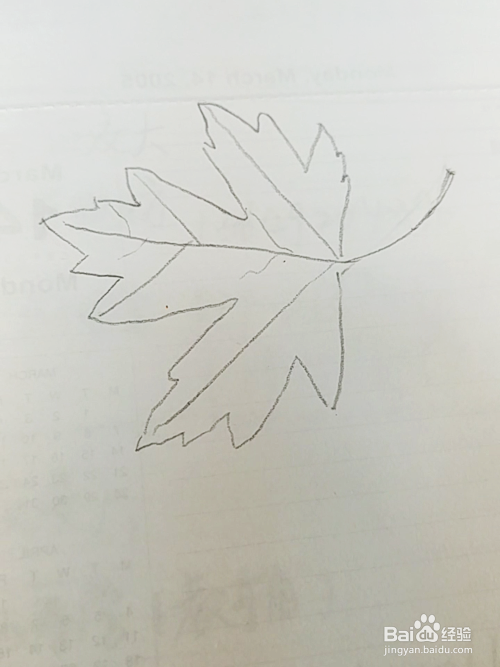 简笔画：红色枫叶画法