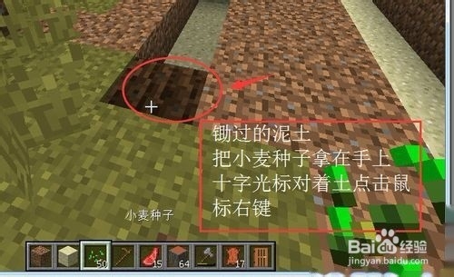 我的世界怎么找到马，怎么喂马？