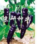 辣椒多姿多样