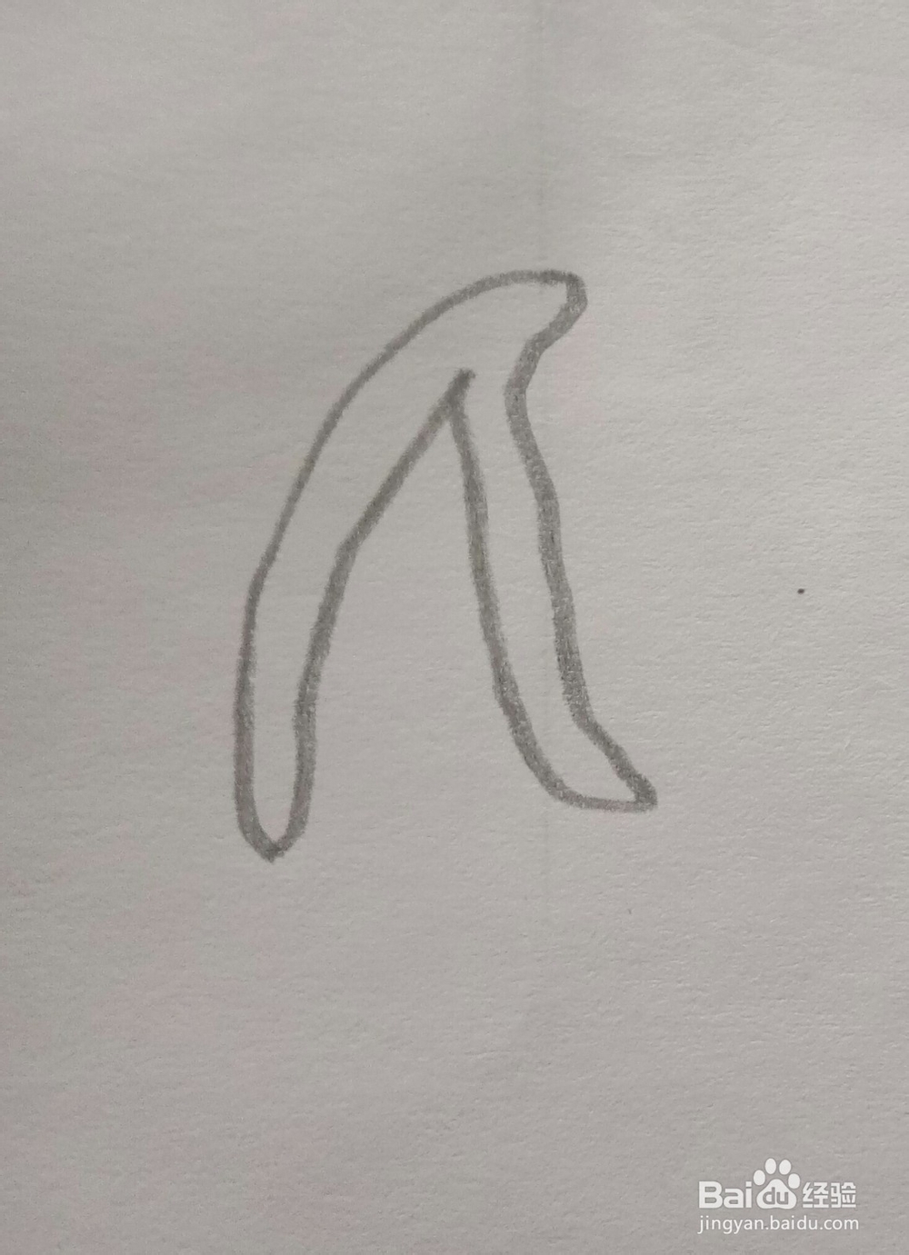 简笔画樱桃的画法5