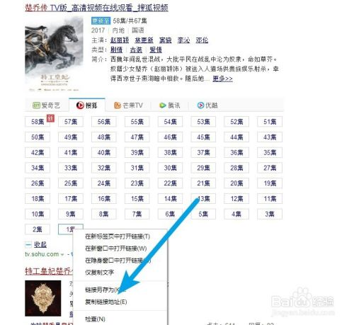 特工皇妃楚乔传全集下载观看