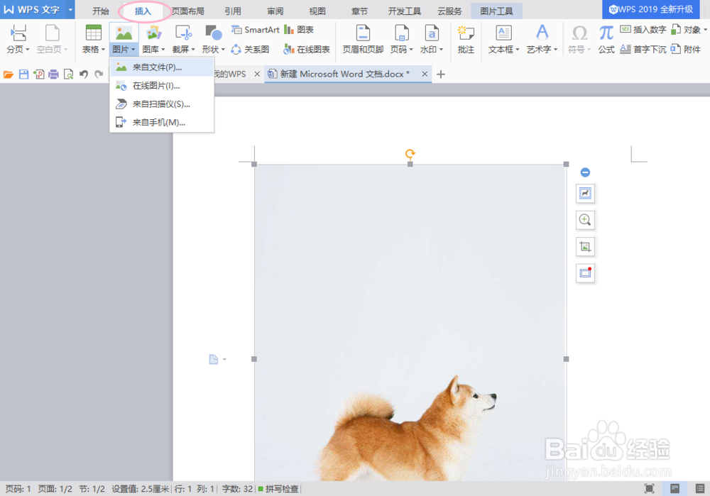 如何利用WPS抠图？