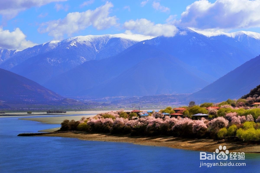 怎么提高自己的语文成绩一