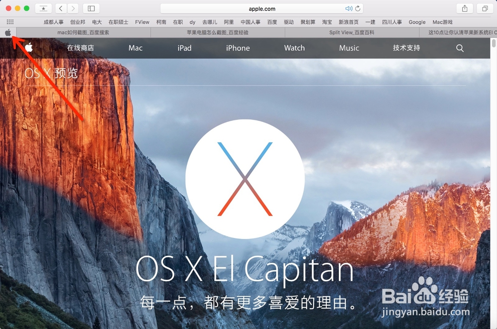 Mac新Safari一键静音和网页标签固定功能