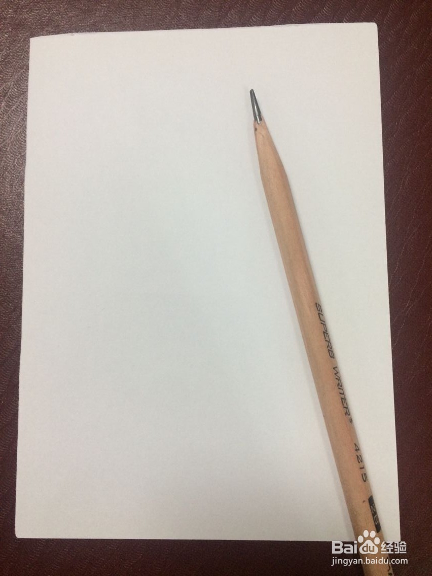 怎样手工画牡丹