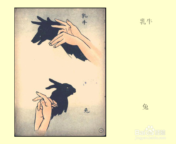 睡前跟孩子一起玩手影游戏吧