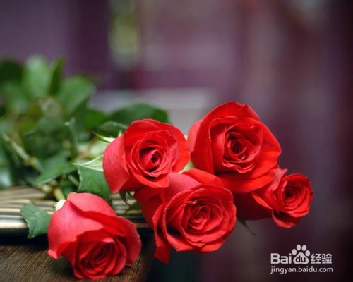 常见的插花花材类型有几种?花材详细介绍