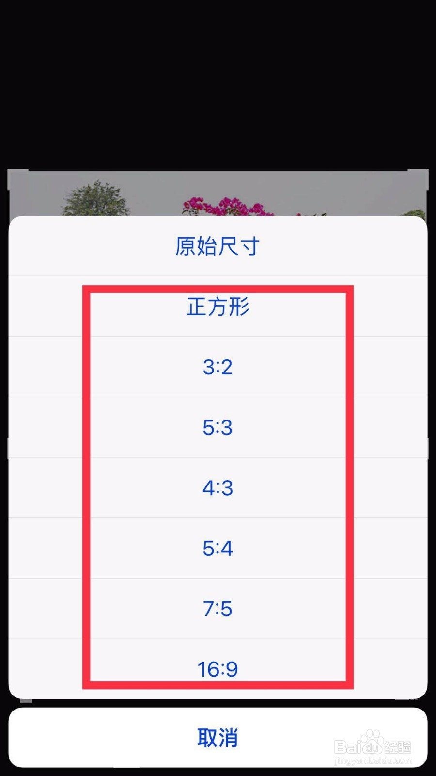苹果手机照片怎么变尺寸