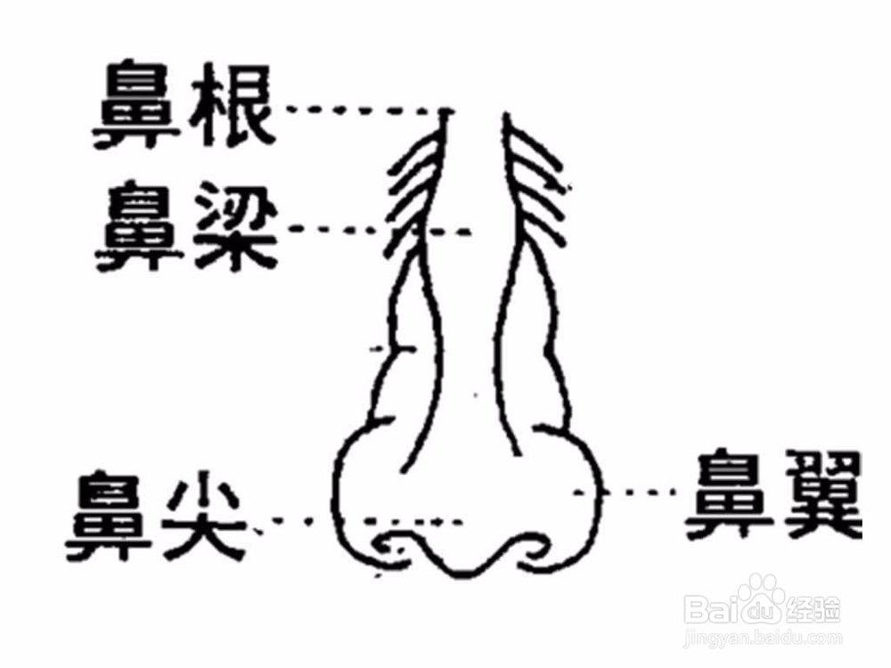 如何打造立体鼻形