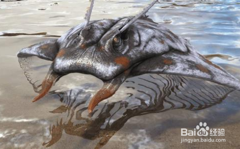 方舟蝠鲼怎么驯服？