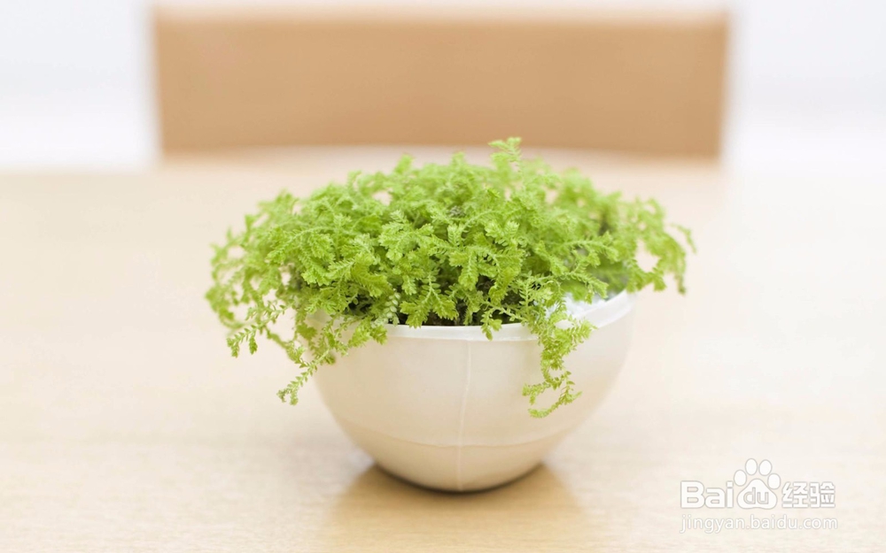 装修前必知的6条经验！快了解下吧