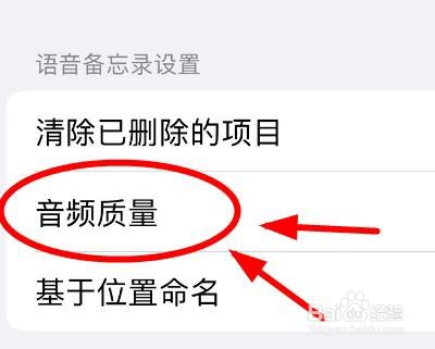 iPhone14如何设置语音备忘录的音频质量属性
