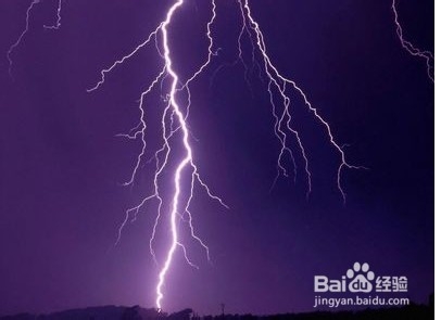狗狗怕打雷怎么办
