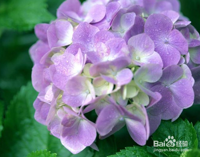 什么东西可以消肿止痒。