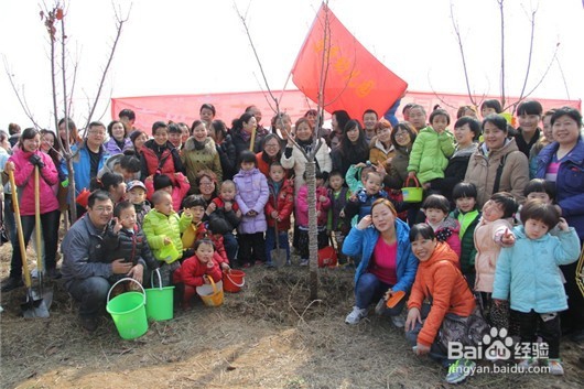 2018年植树节是哪天，如何和孩子过植树节？