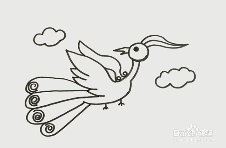 简笔画系列-凤凰怎么画简单又漂亮