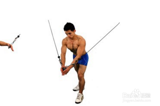 如何锻炼胸大肌?