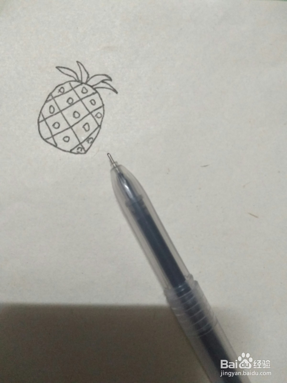 菠萝的简笔画