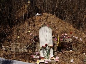 清明节扫墓新方式