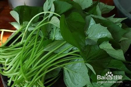 能预防多种疾病的叶子——红薯叶