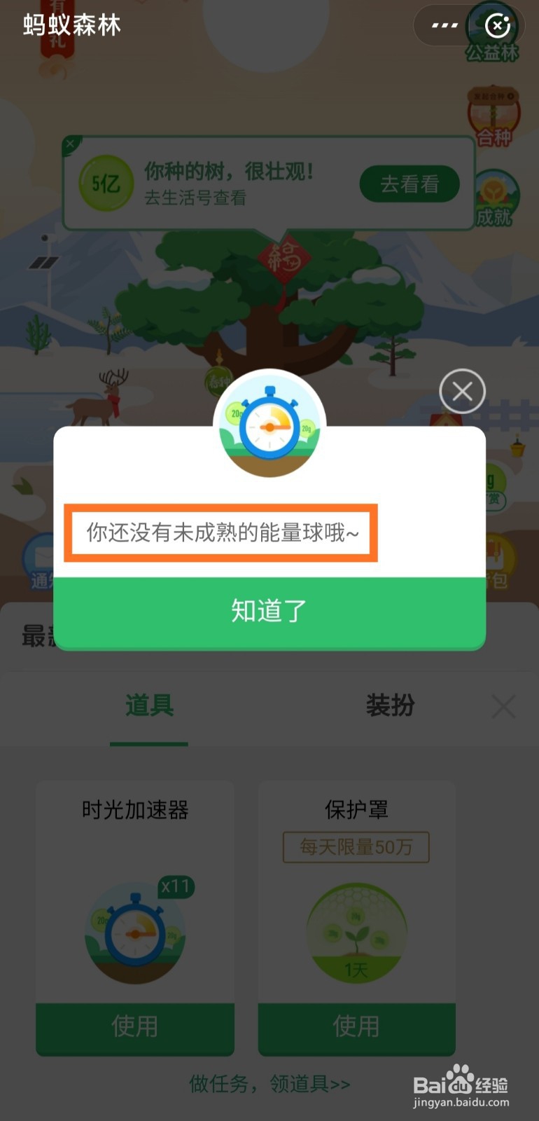 支付宝蚂蚁森林如何使用时光加速器