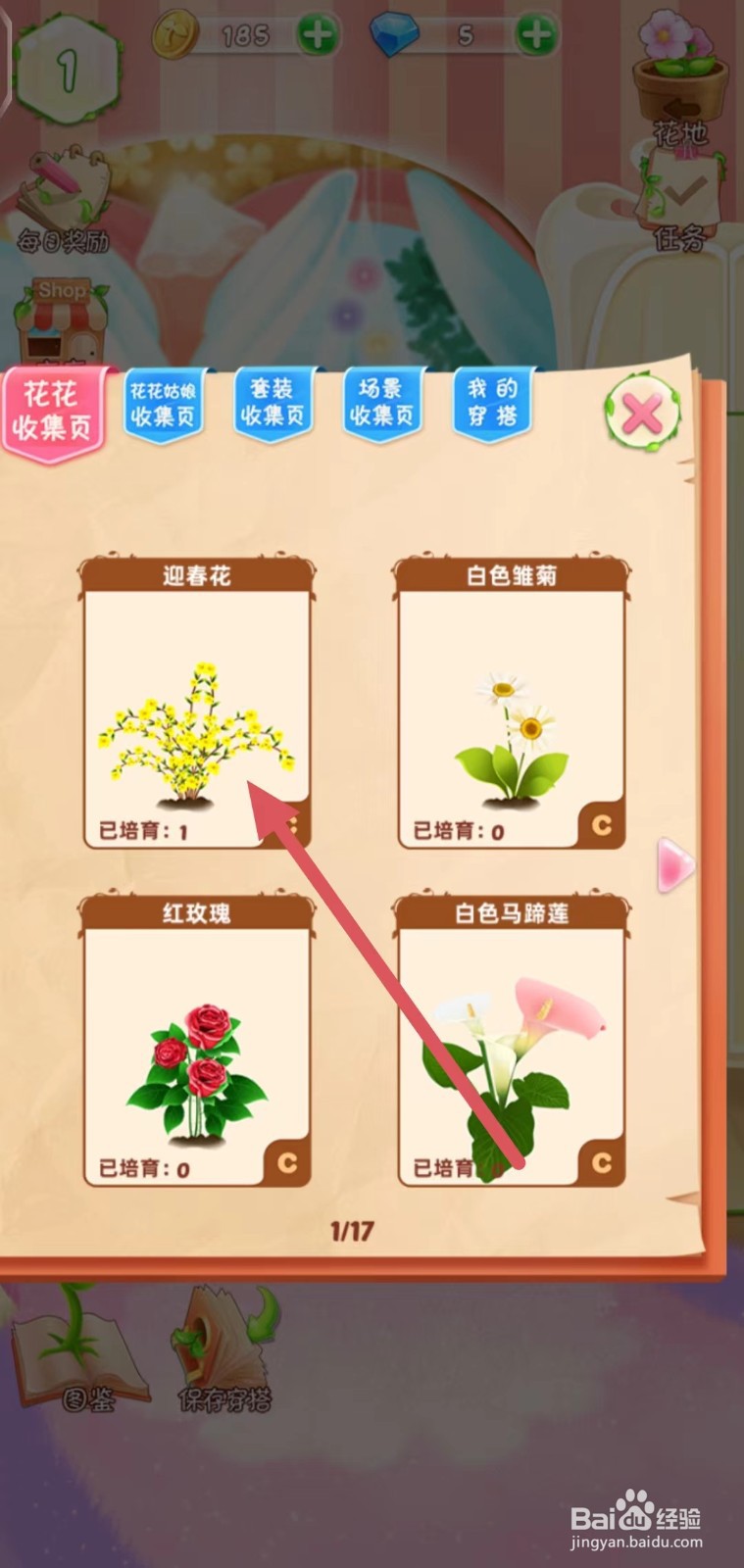 花花姑娘之魔法花园怎么查看迎春花的【简介】