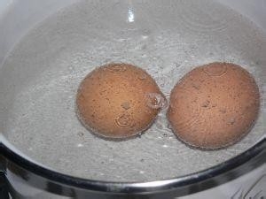 小小柠檬也有大作用