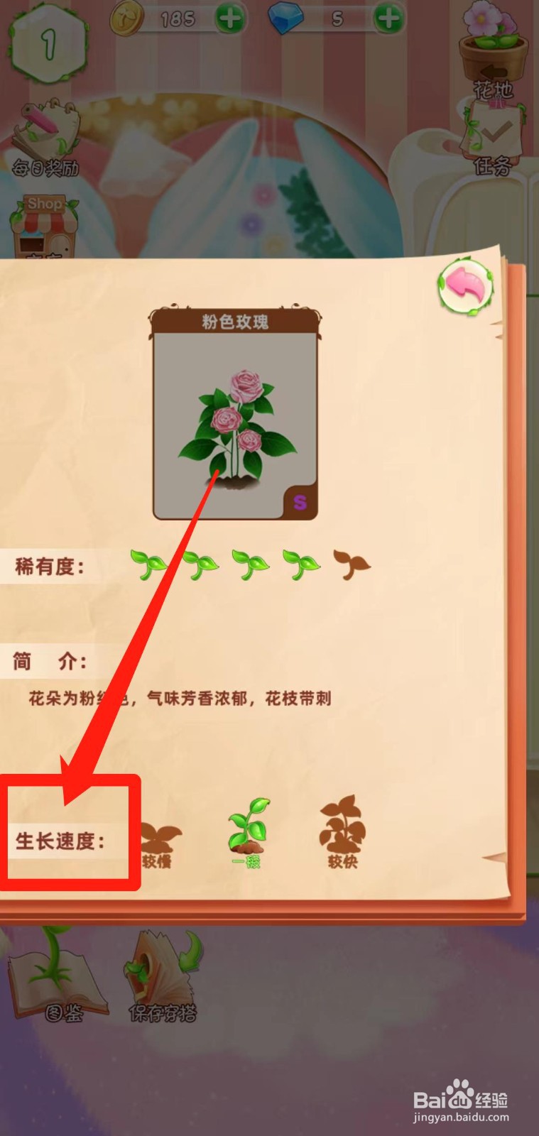 花花姑娘之魔法花园如何查看粉色玫瑰生长速度