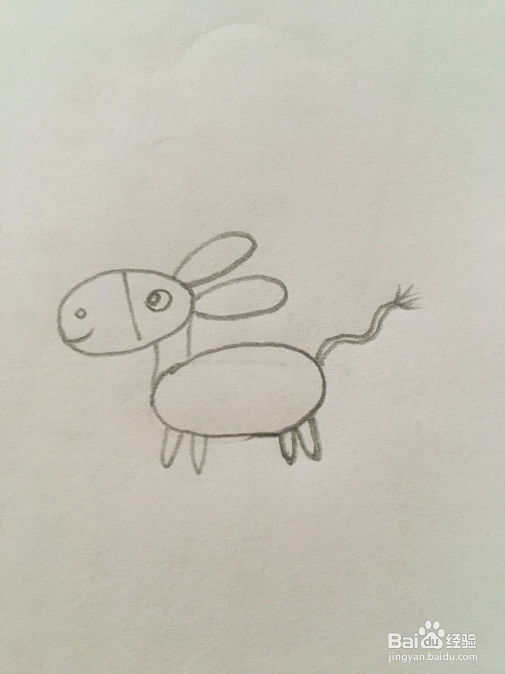 简笔画动物小毛驴