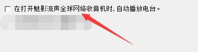 如何设置魅影流声启动后自动播放电台