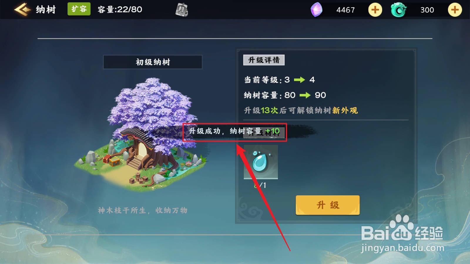 梦幻经营怎么升级纳树