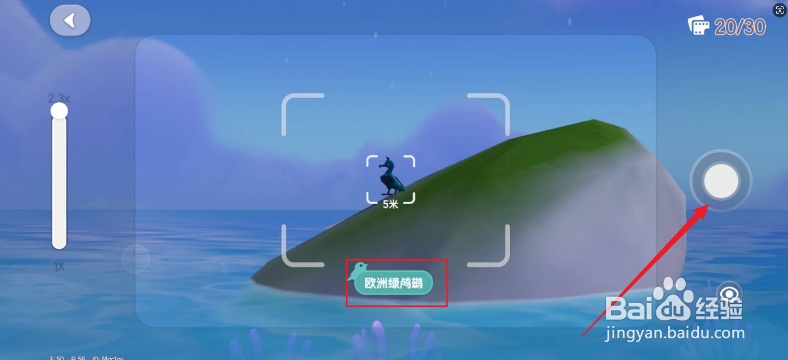 心动小镇欧洲绿鸬鹚在哪里