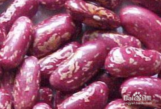 <b>芸豆搭配食材相克相宜的禁忌和营养功效注意事项</b>